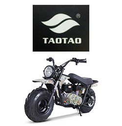 Tao Tao Mini Bikes